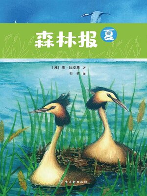 cover image of 夏